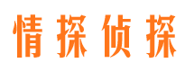 浮山寻人公司